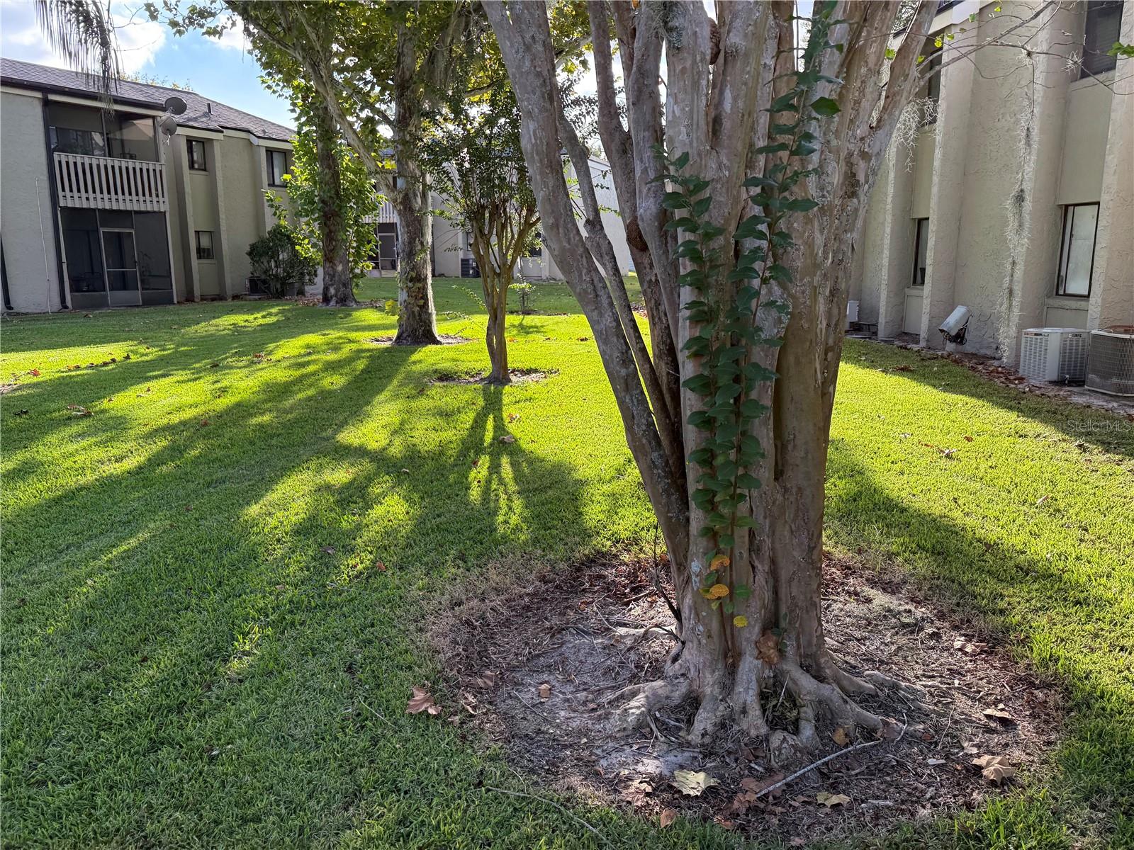 135 SPRINGWOOD CIR #E, LONGWOOD, FL, 32750