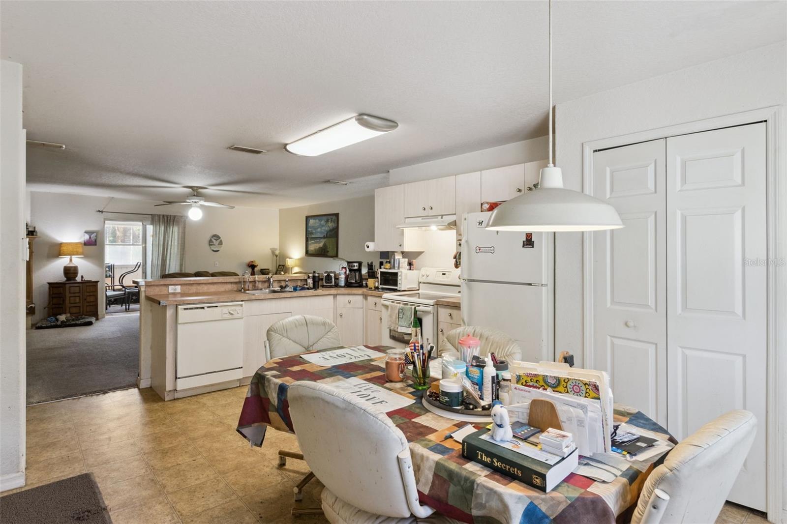 1246 ALLIGATOR ALY, HAINES CITY, FL, 33844