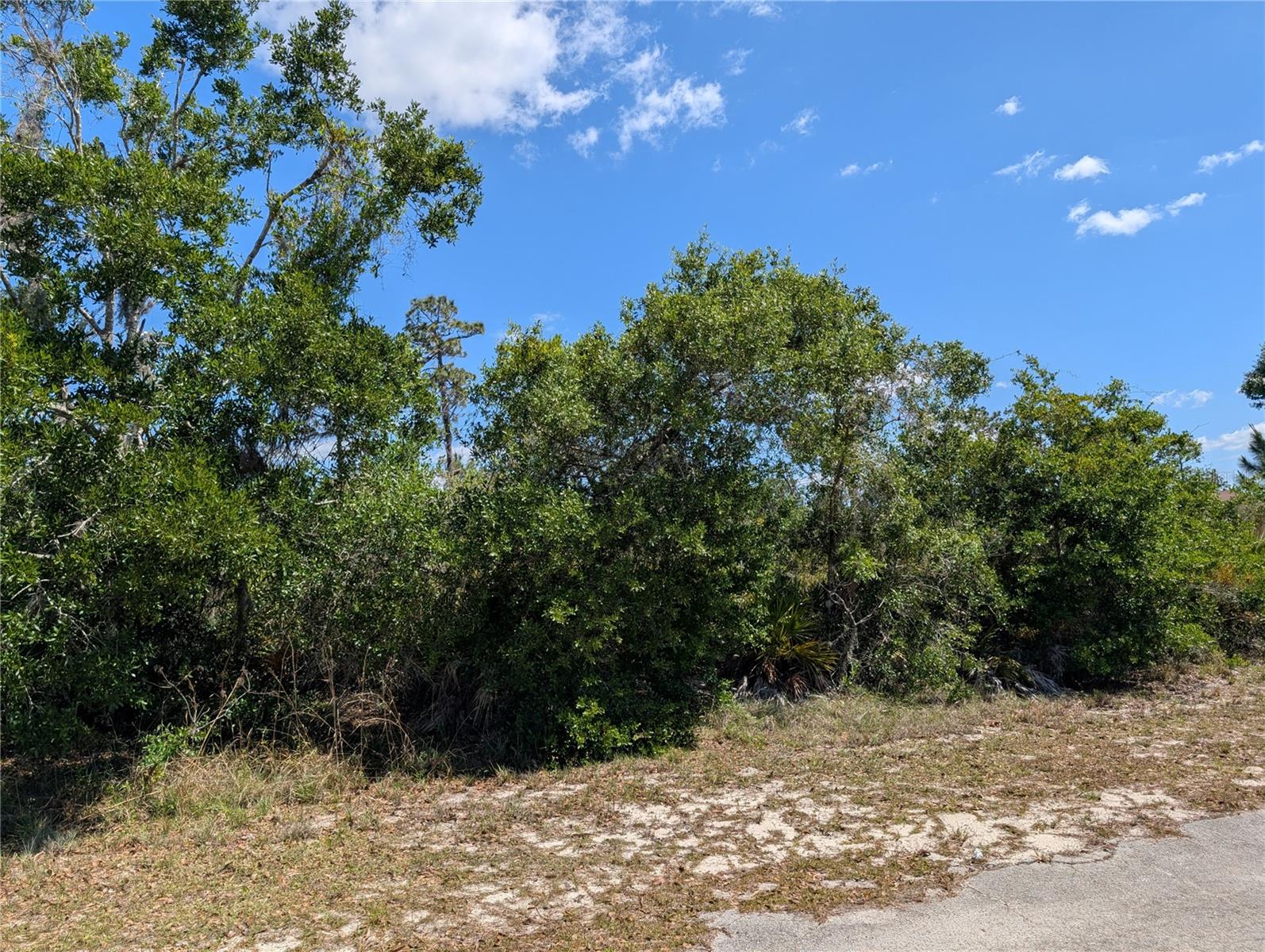 816 BOUGAINVILLE DR, INDIAN LAKE ESTATES, FL, 33855