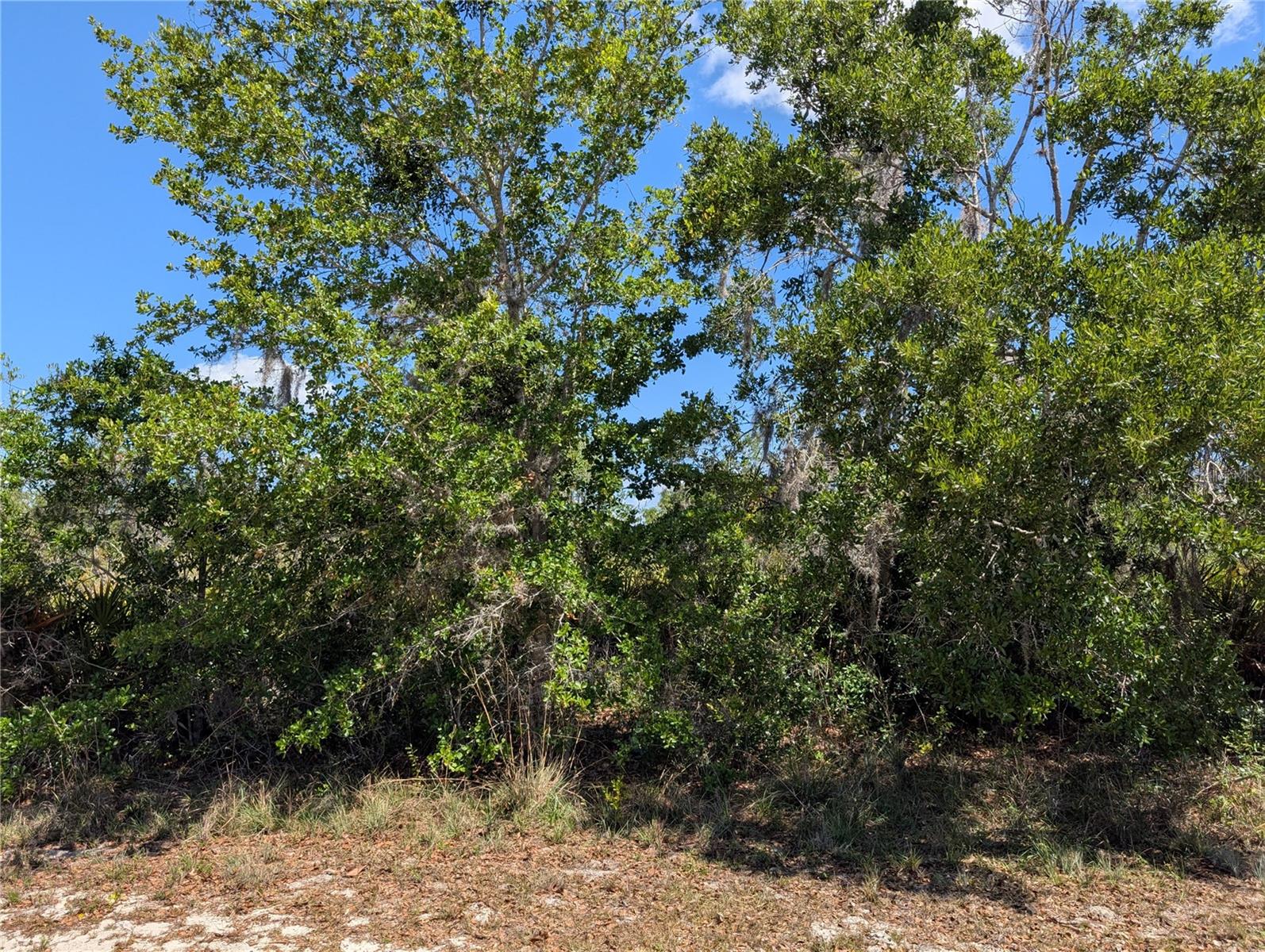 816 BOUGAINVILLE DR, INDIAN LAKE ESTATES, FL, 33855