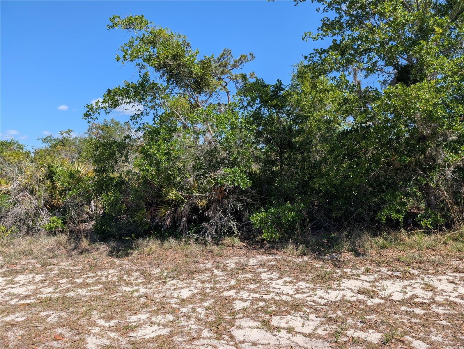 816 BOUGAINVILLE DR, INDIAN LAKE ESTATES, FL, 33855