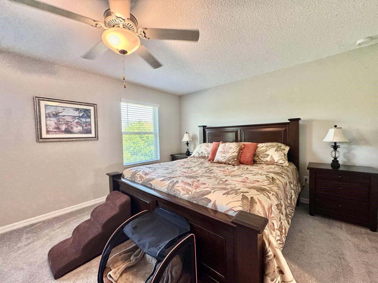 3587 BELLMEADE CT #3587, WESLEY CHAPEL, FL, 33543