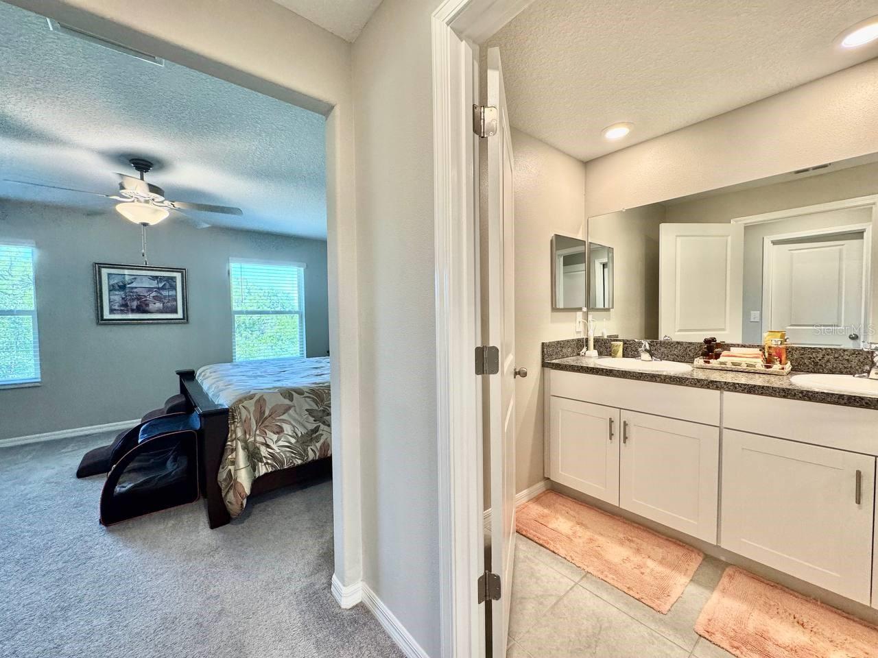 3587 BELLMEADE CT #3587, WESLEY CHAPEL, FL, 33543