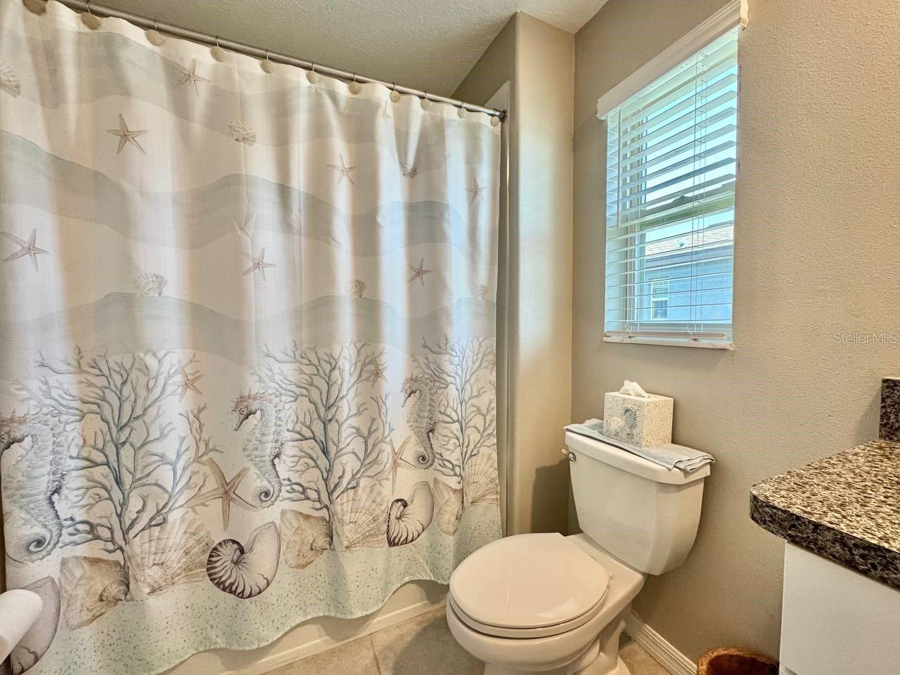 3587 BELLMEADE CT #3587, WESLEY CHAPEL, FL, 33543