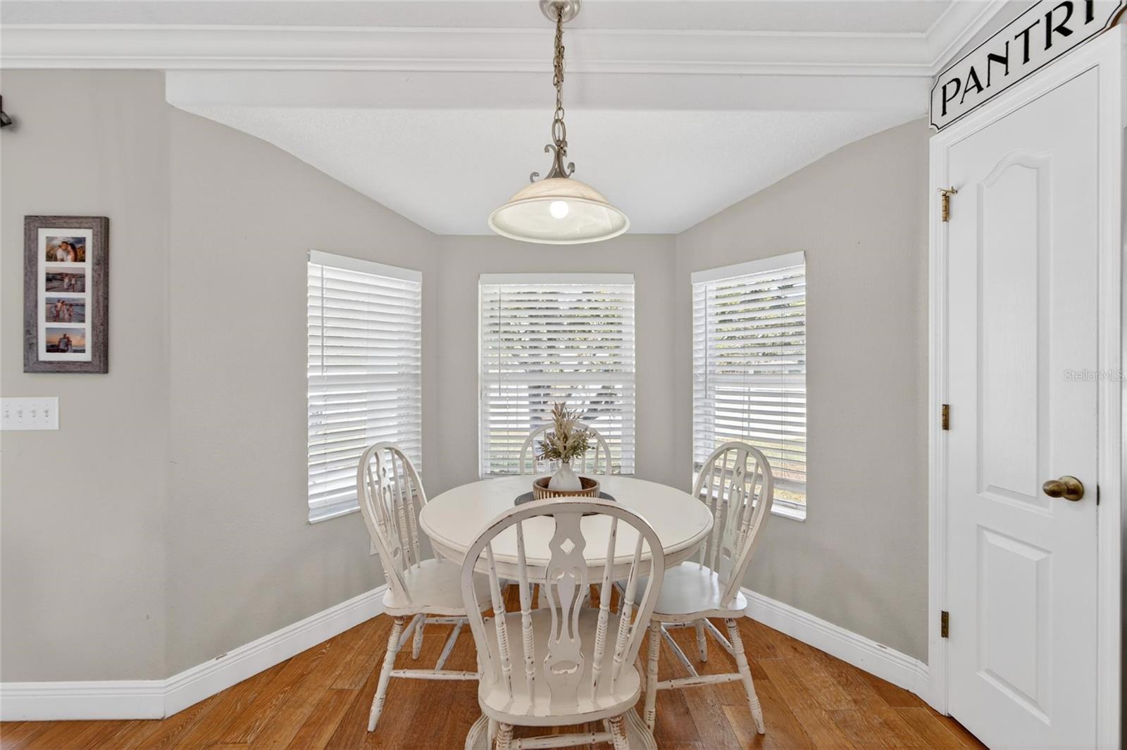 1730 CANOE DR, LUTZ, FL, 33559