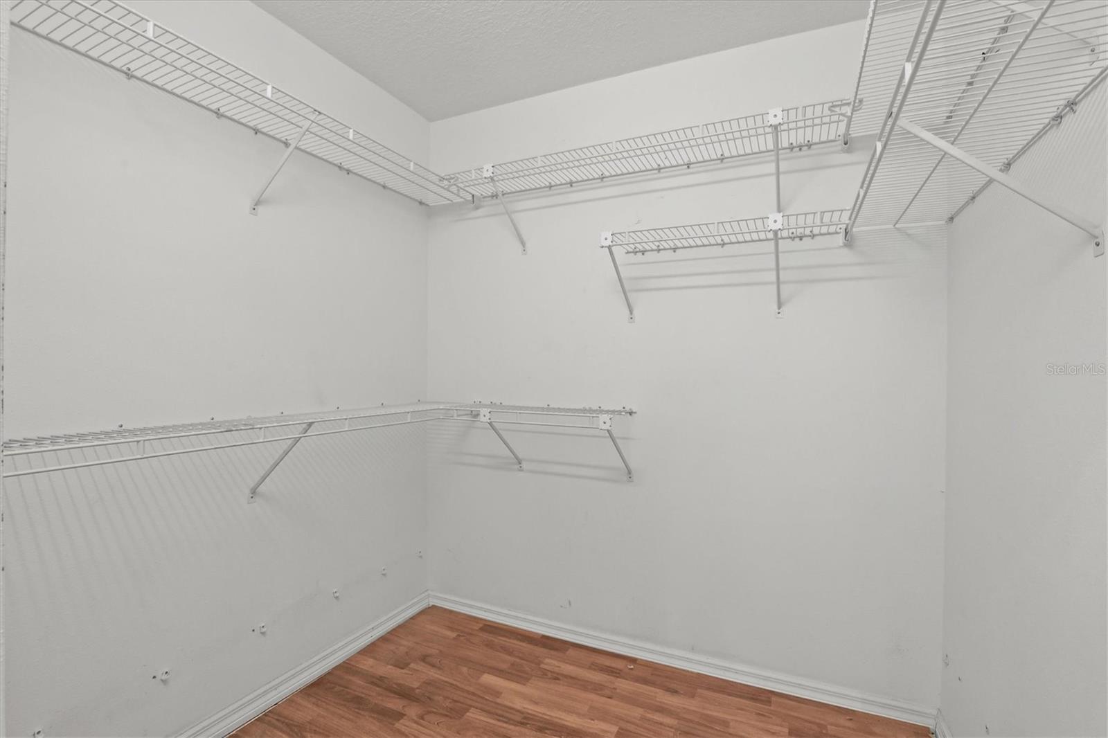 324 WOOD DOVE AVE, TARPON SPRINGS, FL, 34689