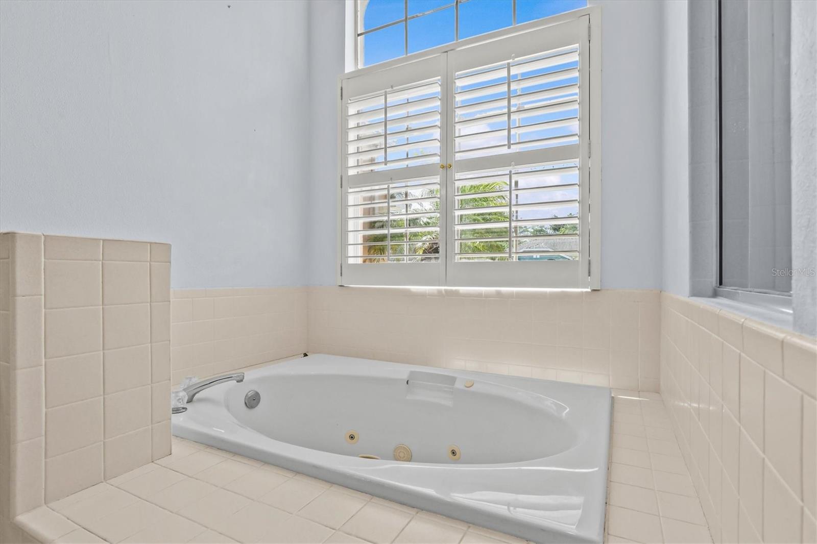 324 WOOD DOVE AVE, TARPON SPRINGS, FL, 34689