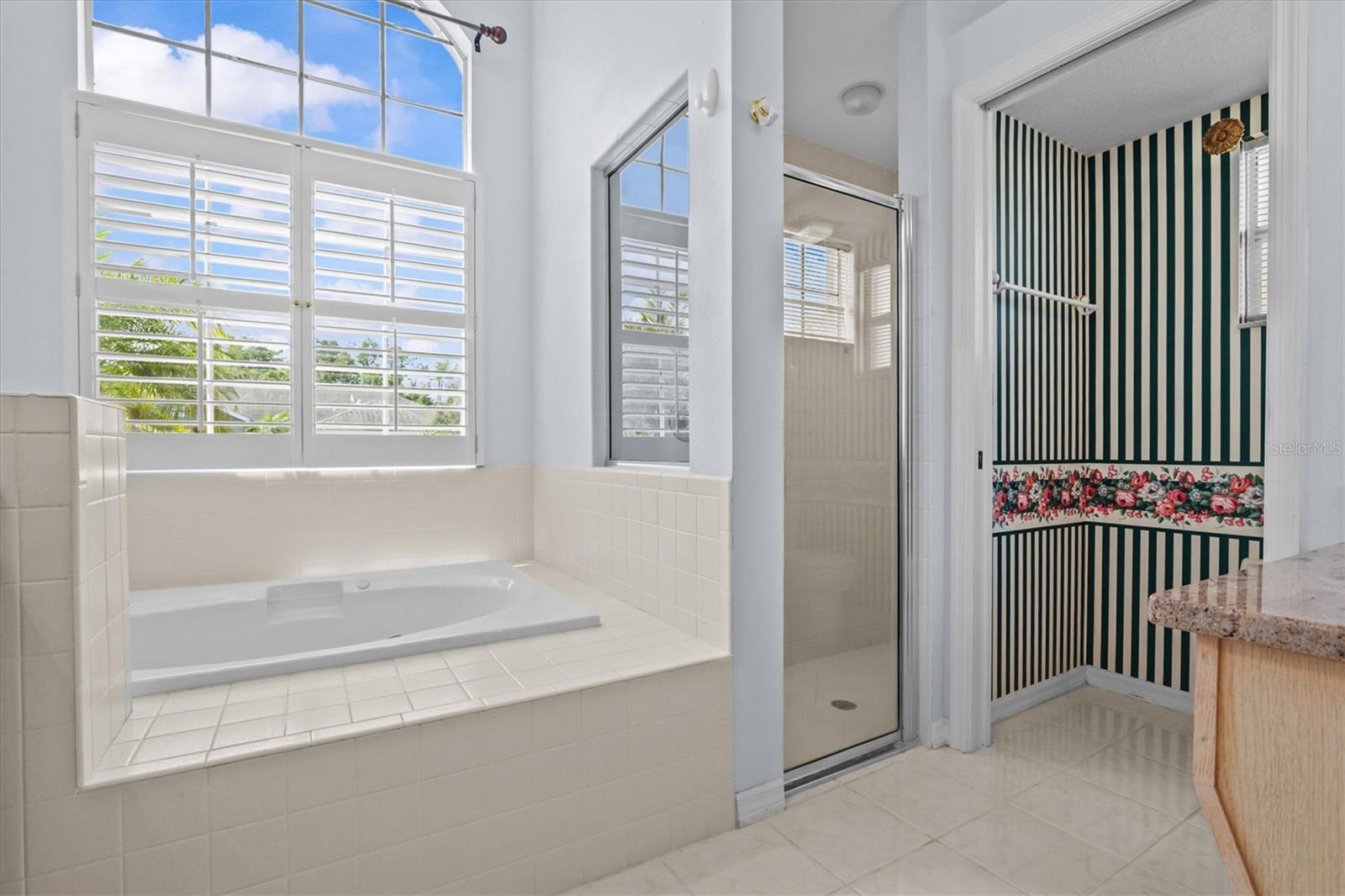 324 WOOD DOVE AVE, TARPON SPRINGS, FL, 34689