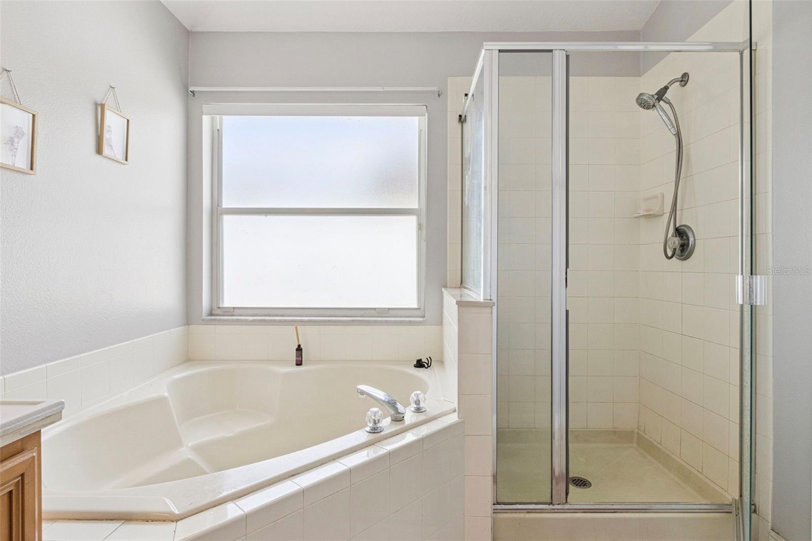 3195 WHOOPING CRANE RUN, KISSIMMEE, FL, 34741