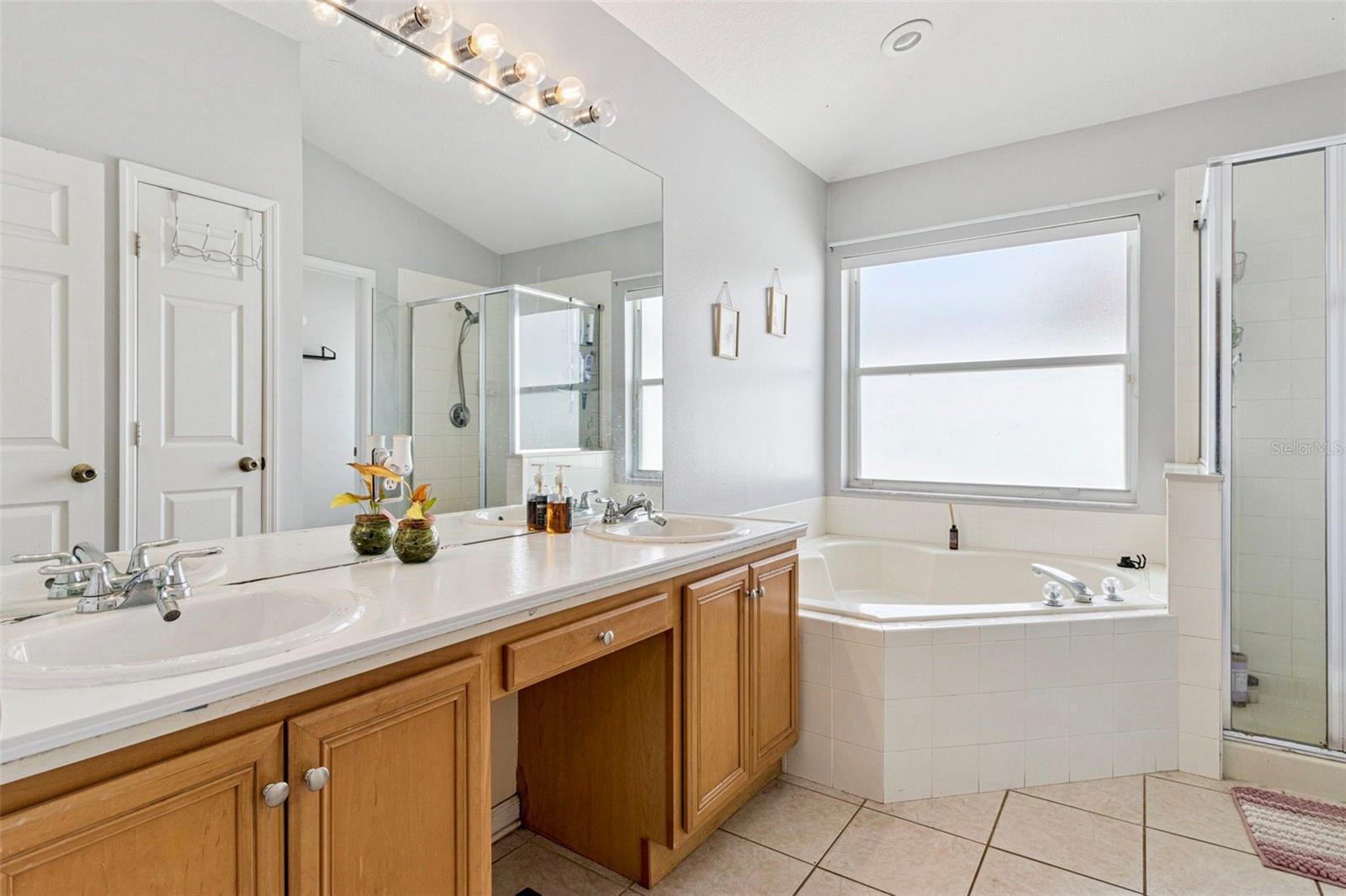 3195 WHOOPING CRANE RUN, KISSIMMEE, FL, 34741