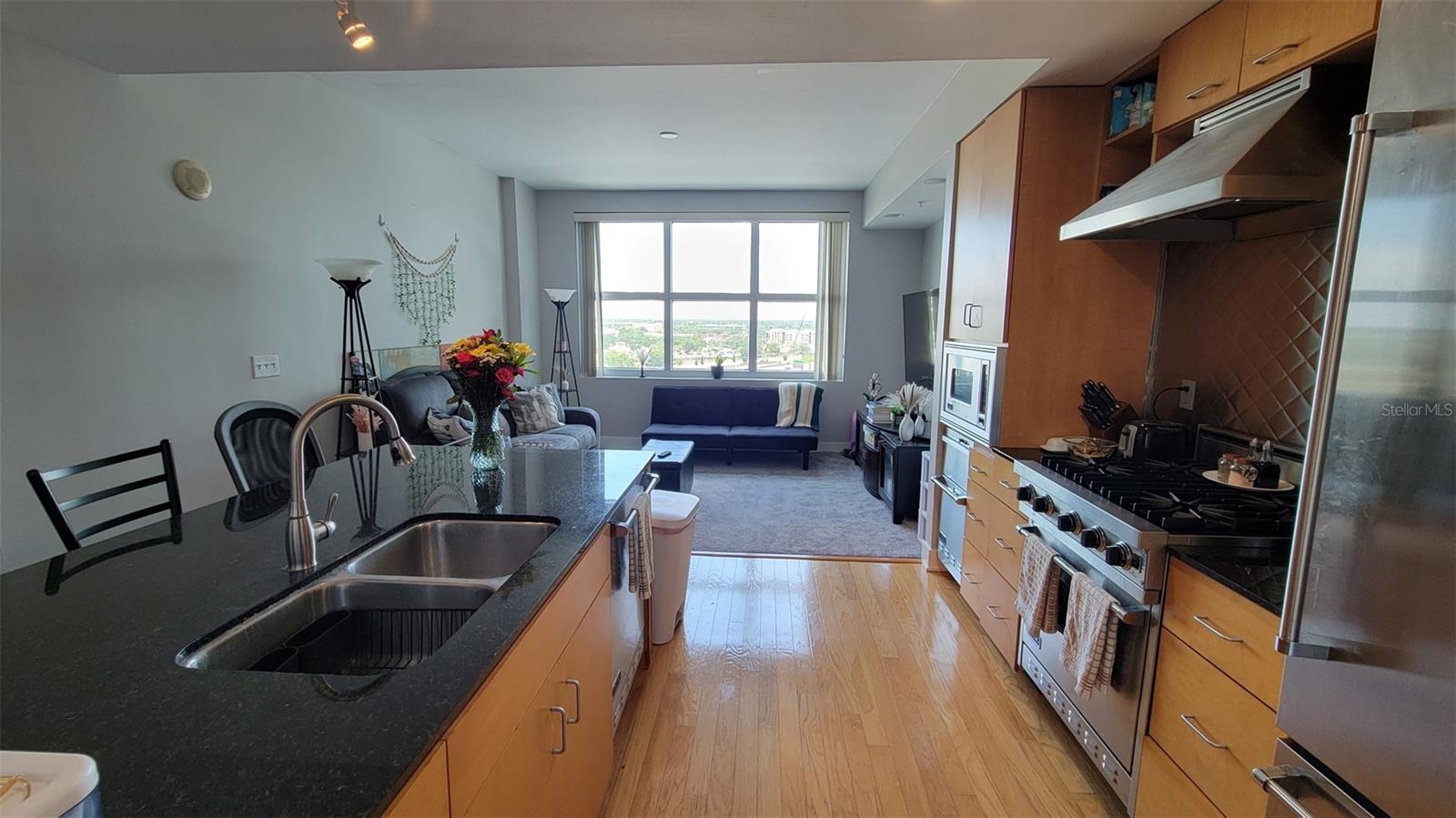 1120 E KENNEDY BLVD #1217, TAMPA, FL, 33602