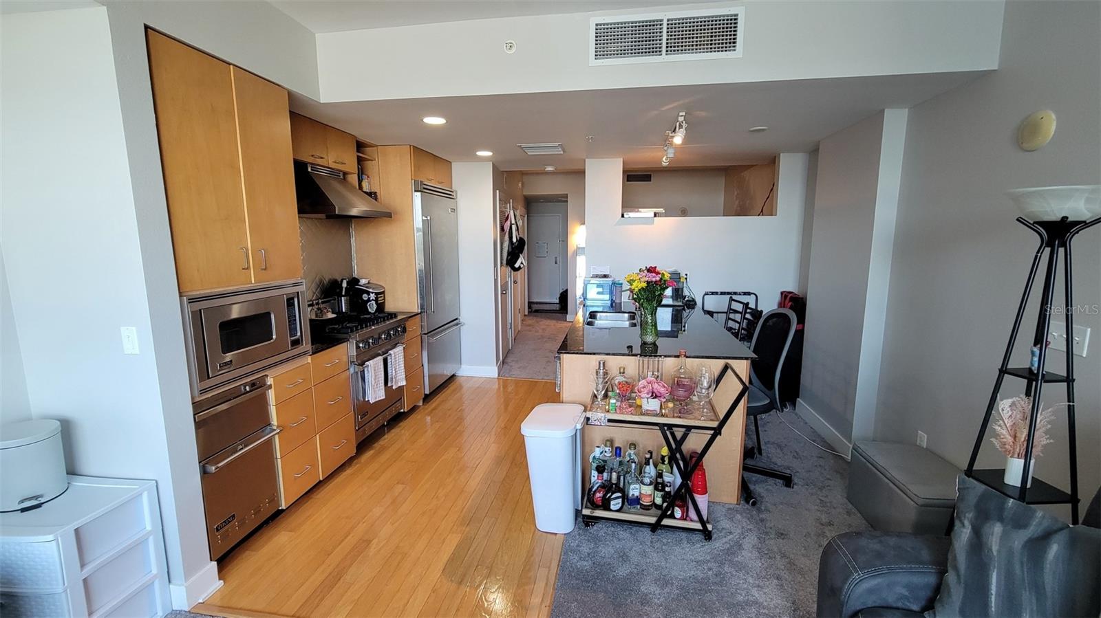 1120 E KENNEDY BLVD #1217, TAMPA, FL, 33602