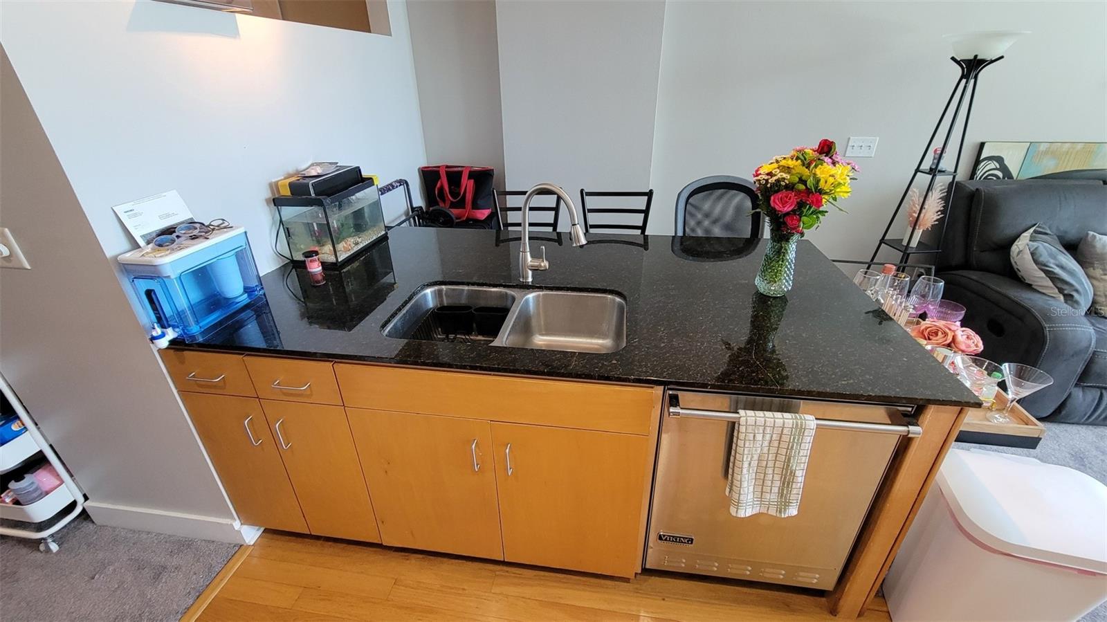 1120 E KENNEDY BLVD #1217, TAMPA, FL, 33602