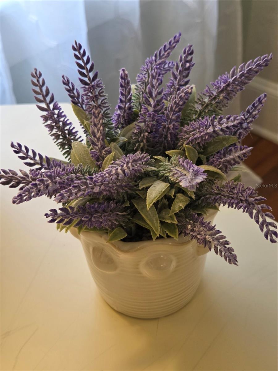 112 S DIXIE AVE, FRUITLAND PARK, FL, 34731