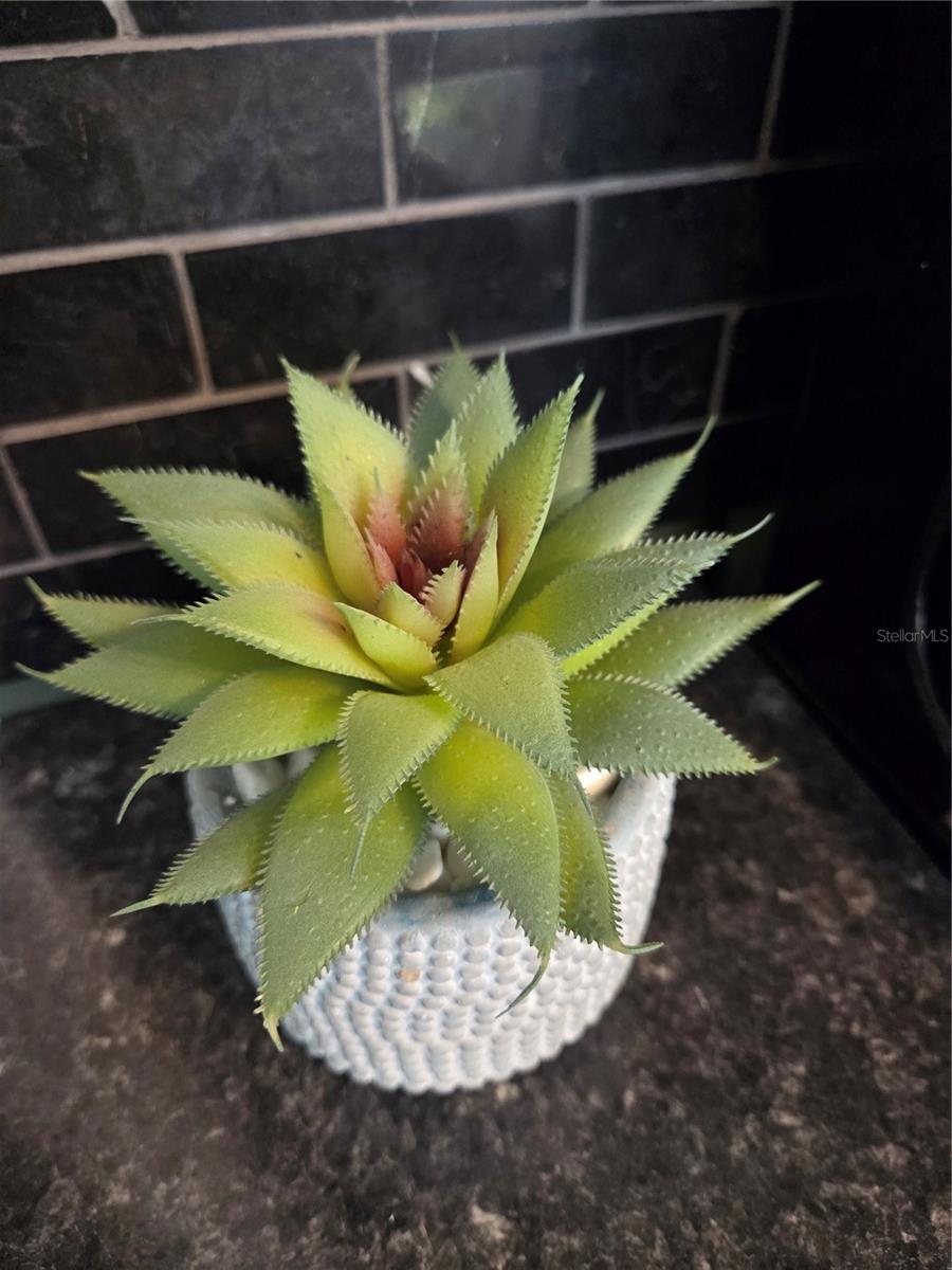 112 S DIXIE AVE, FRUITLAND PARK, FL, 34731