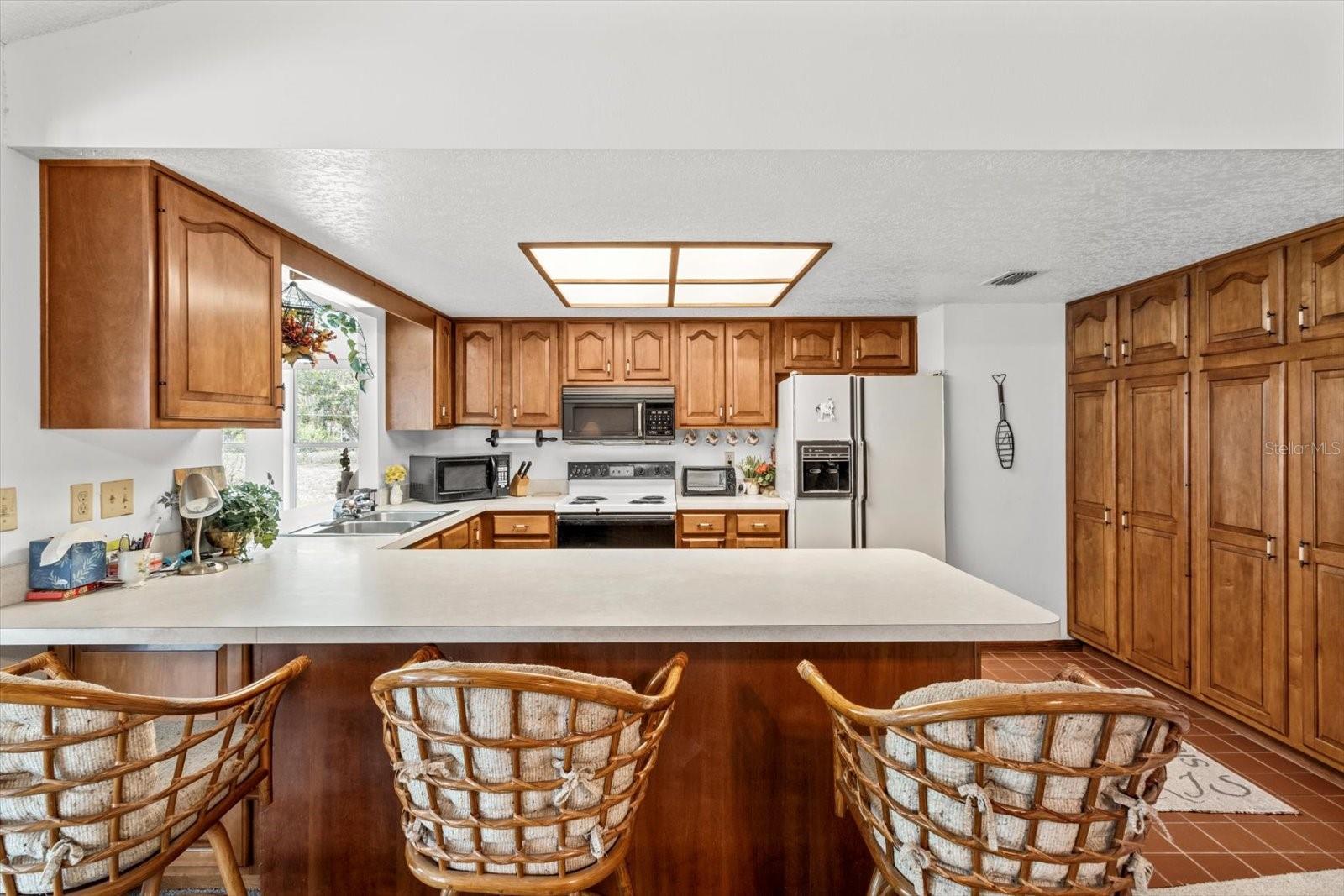 10025 KIMBROUGH DR, BROOKSVILLE, FL, 34601