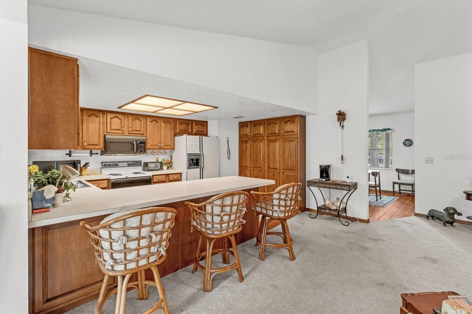 10025 KIMBROUGH DR, BROOKSVILLE, FL, 34601