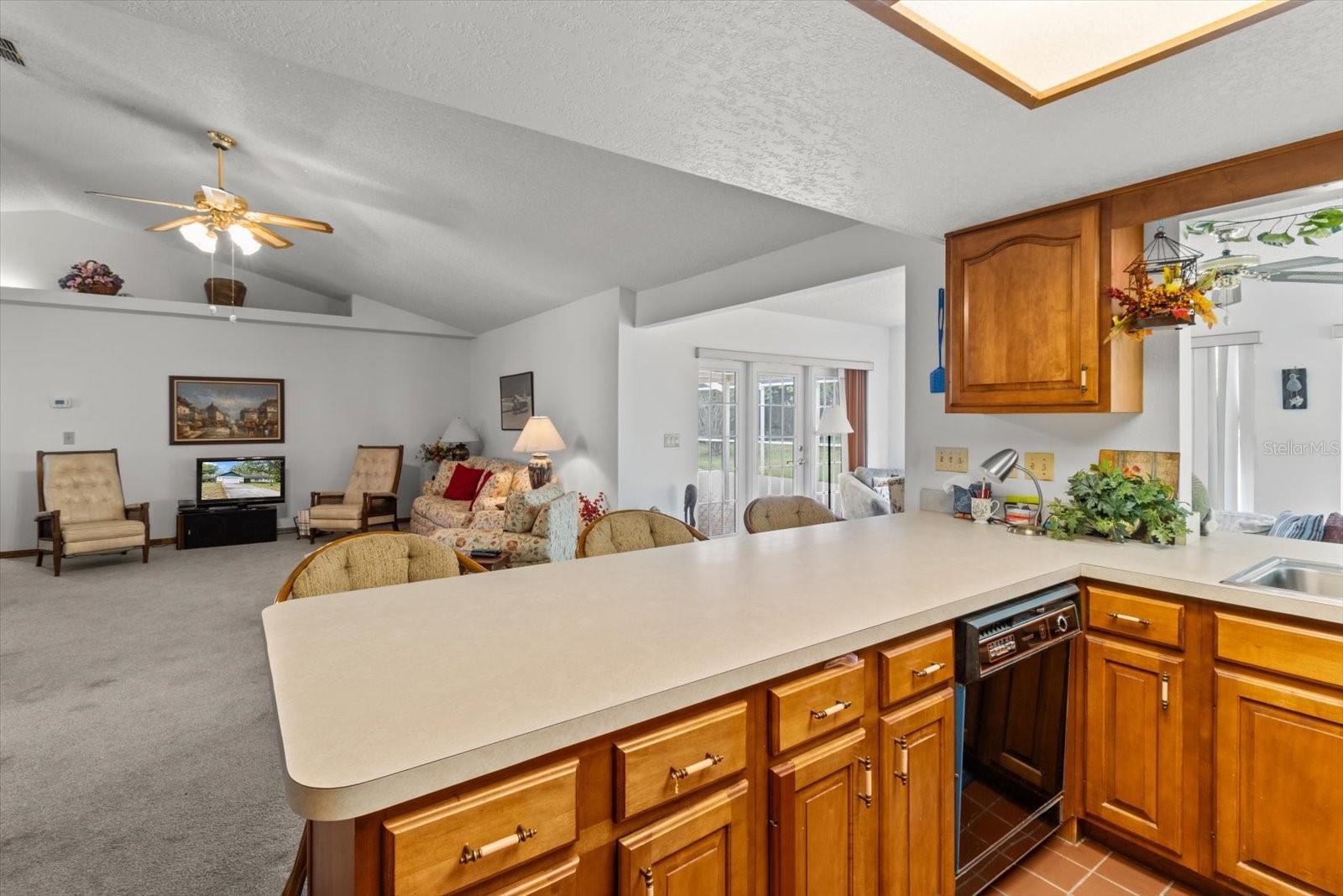 10025 KIMBROUGH DR, BROOKSVILLE, FL, 34601