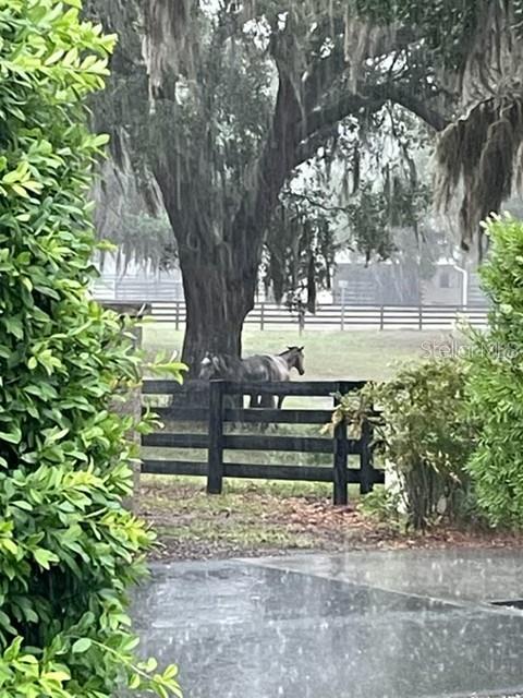 VILLAGES/MARION SOULLIERE VILL, THE VILLAGES, FL, 32162