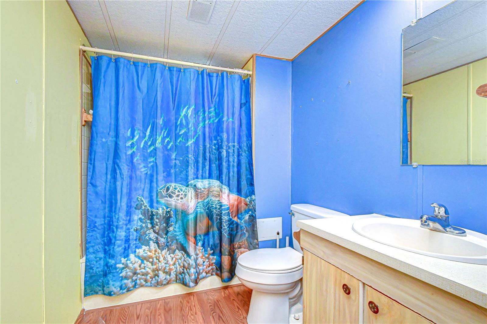 3934 SARAH DR, WESLEY CHAPEL, FL, 33543