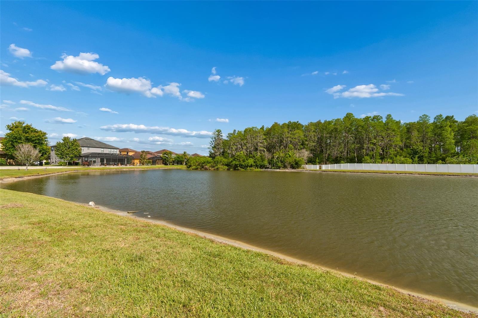 12312 LAKE BLVD, NEW PORT RICHEY, FL, 34655