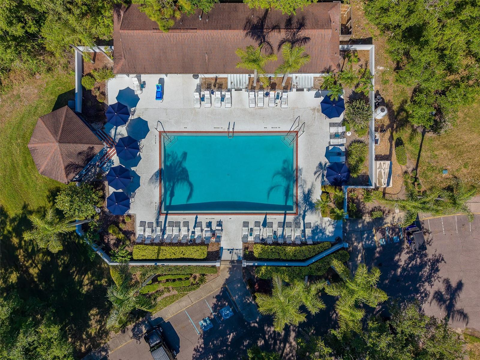 2441 NEW HAVEN CIR #58, SUN CITY CENTER, FL, 33573