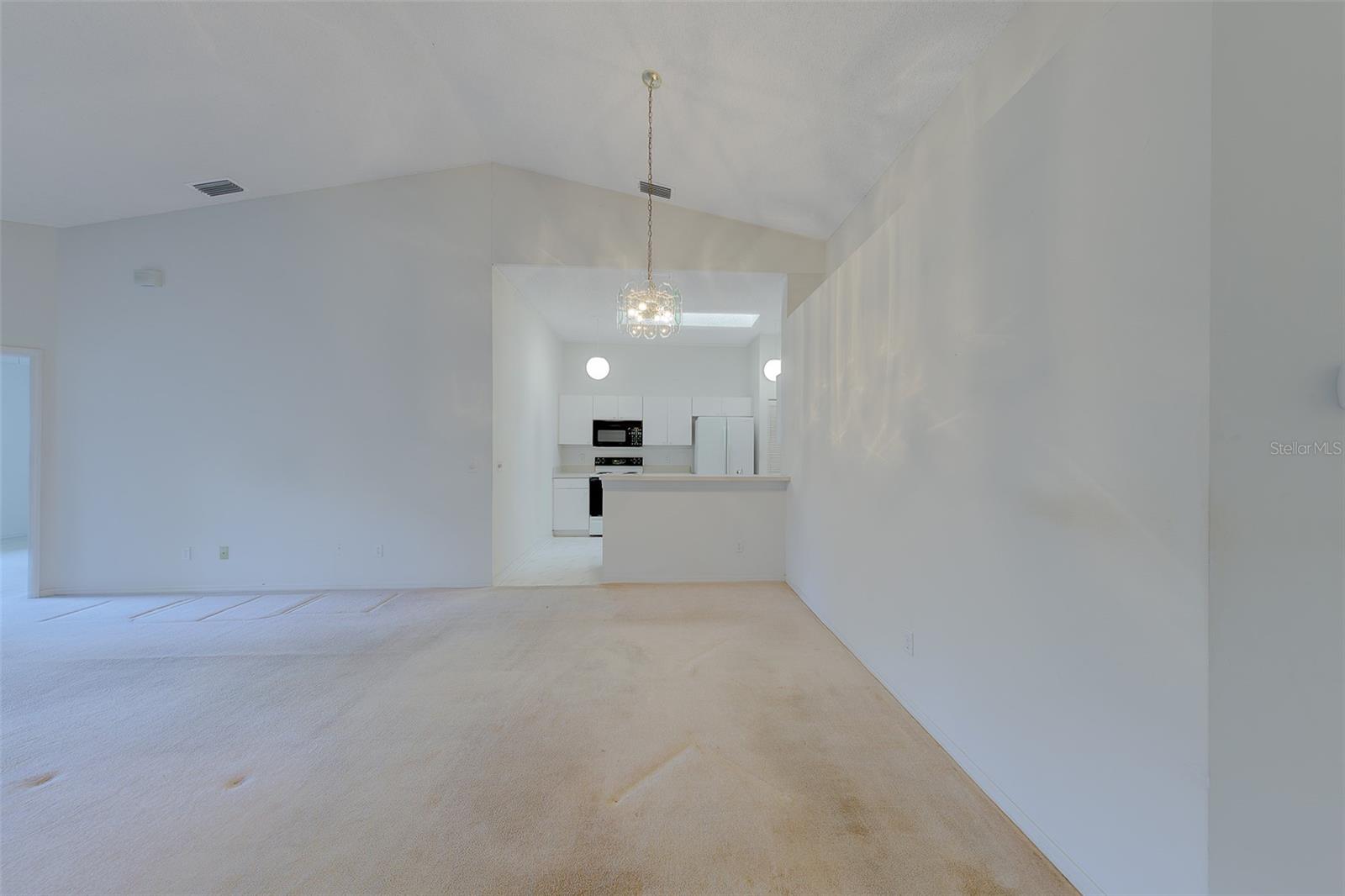 2441 NEW HAVEN CIR #58, SUN CITY CENTER, FL, 33573