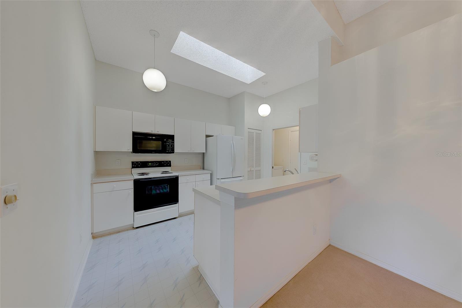 2441 NEW HAVEN CIR #58, SUN CITY CENTER, FL, 33573