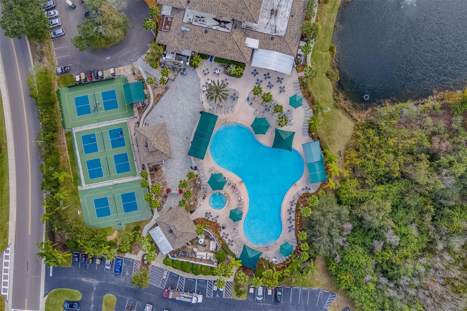 2441 NEW HAVEN CIR #58, SUN CITY CENTER, FL, 33573