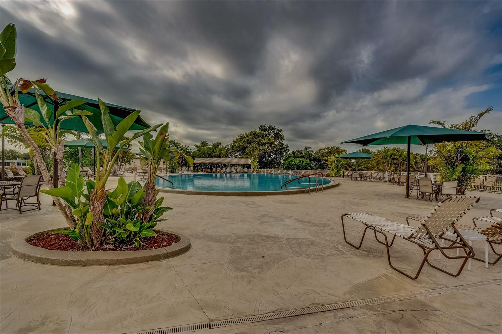 2441 NEW HAVEN CIR #58, SUN CITY CENTER, FL, 33573