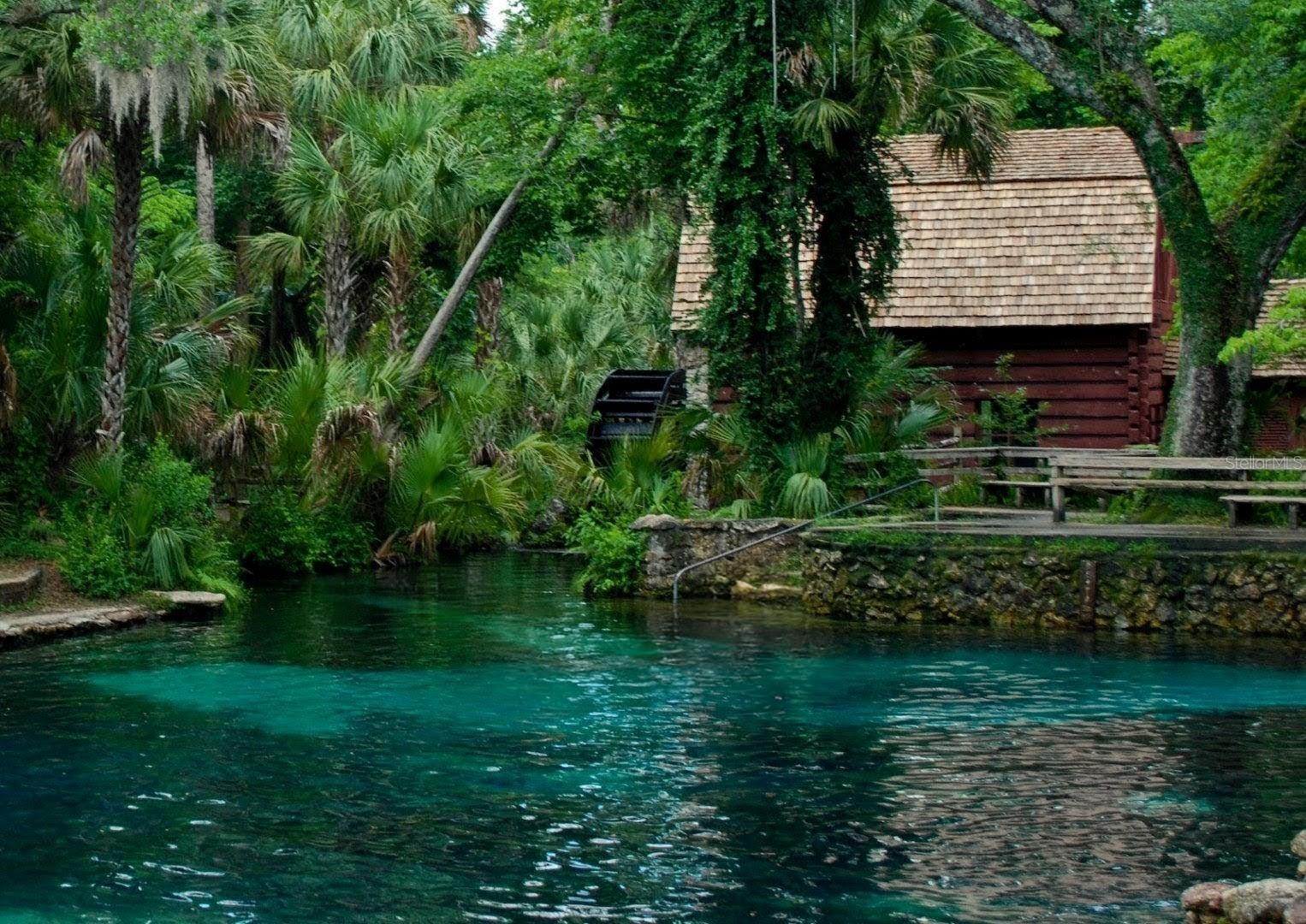 13261 NE 155TH LN, FORT MC COY, FL, 32134