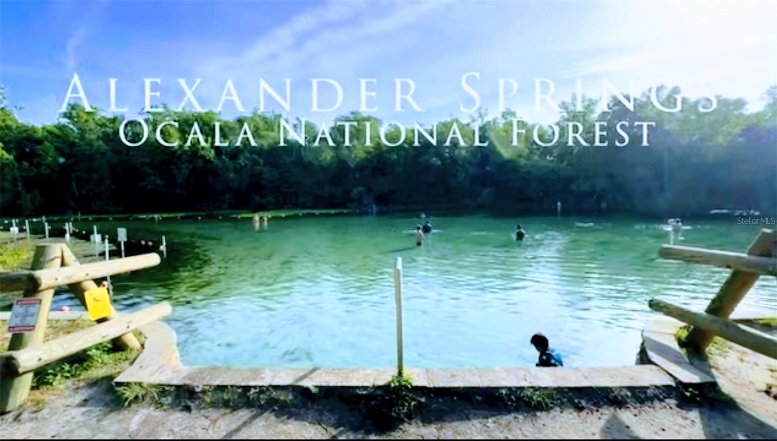 13261 NE 155TH LN, FORT MC COY, FL, 32134