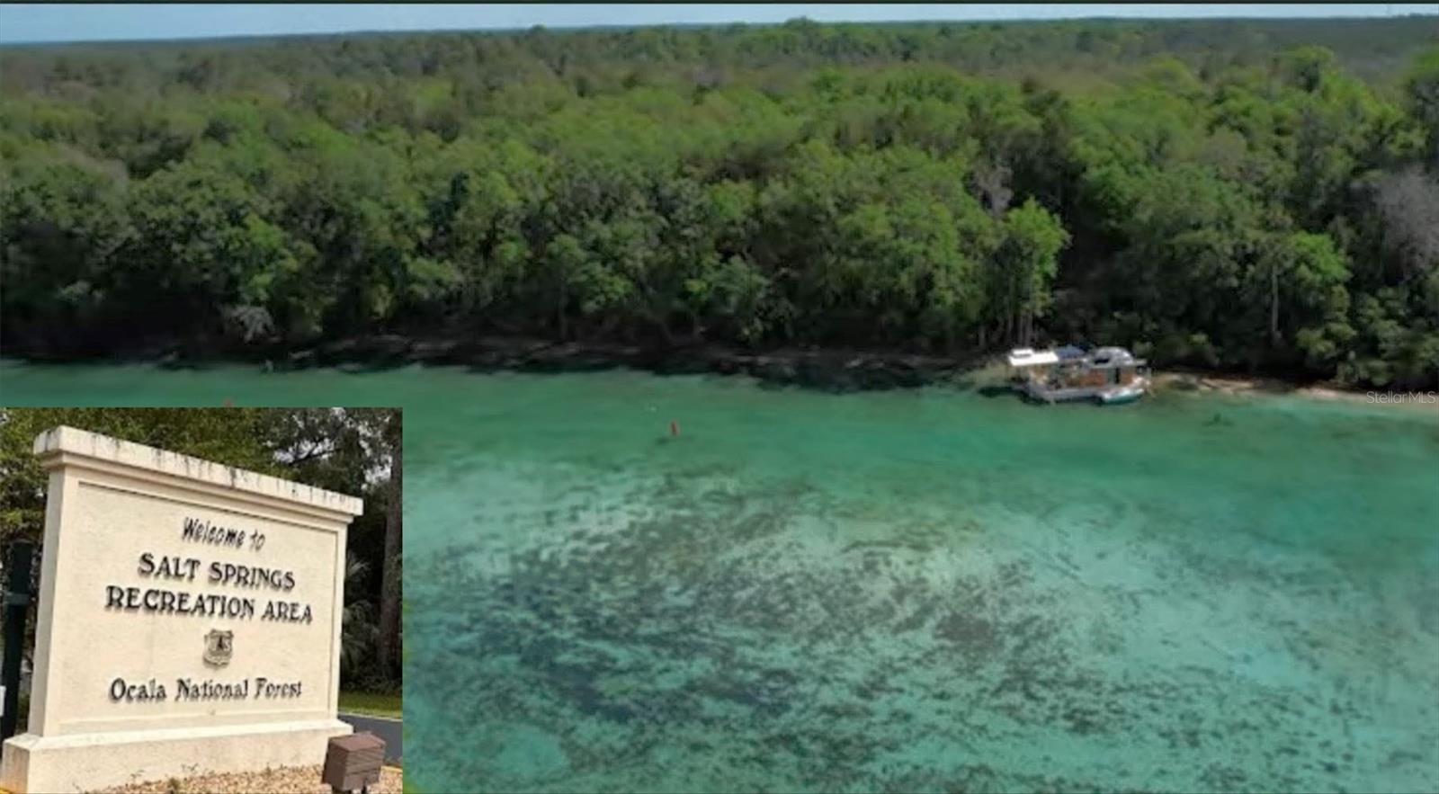 13261 NE 155TH LN, FORT MC COY, FL, 32134