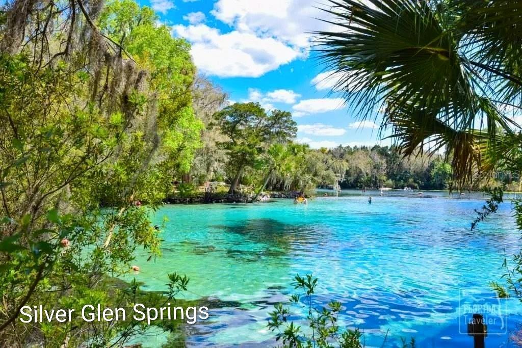 13261 NE 155TH LN, FORT MC COY, FL, 32134