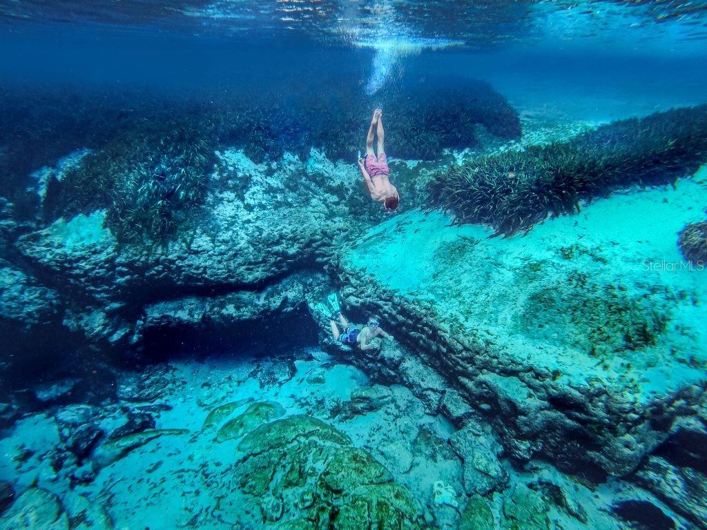 13261 NE 155TH LN, FORT MC COY, FL, 32134