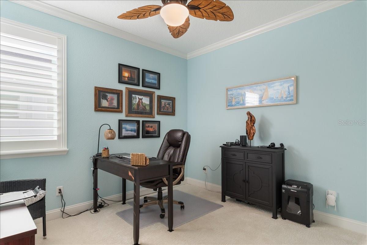 98 HOPTREE PL, ST JOHNS, FL, 32259