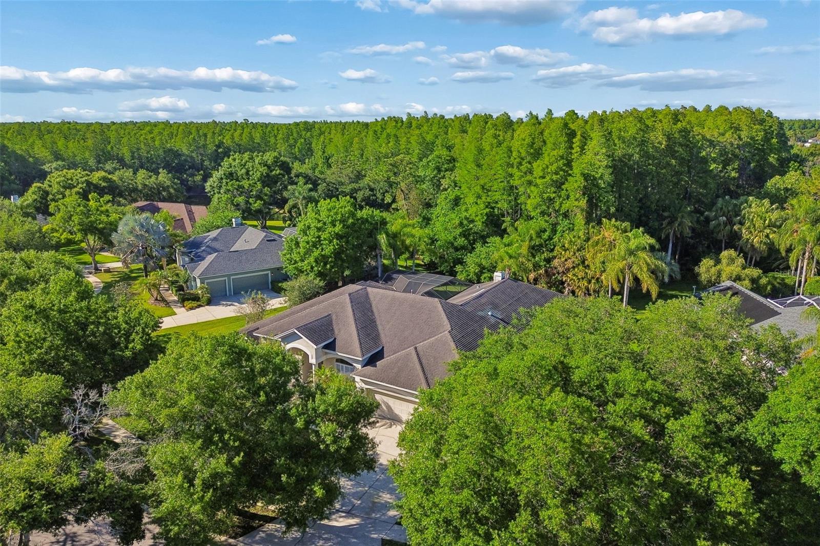 19108 CENTRE ROSE BLVD, LUTZ, FL, 33558
