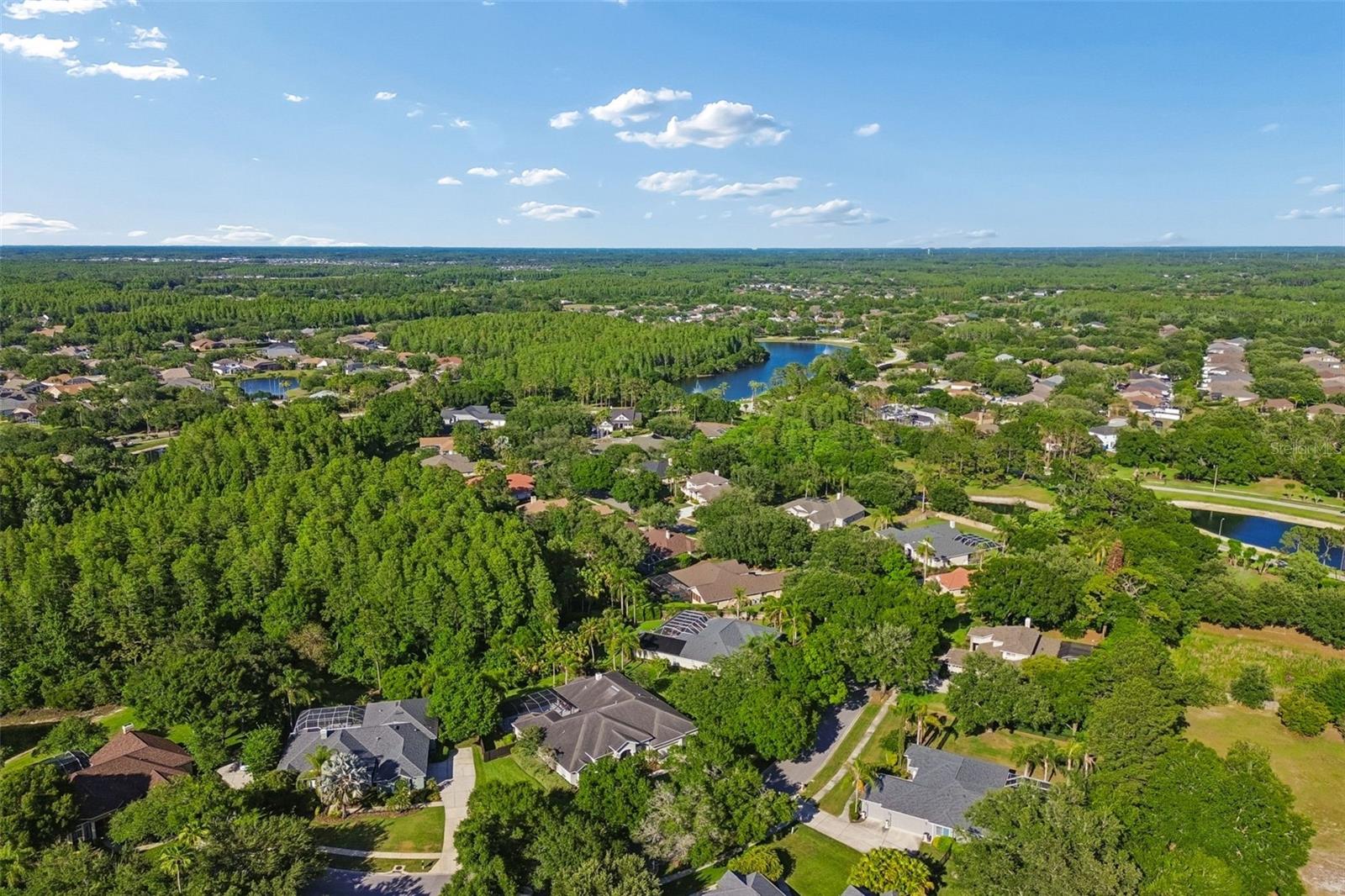 19108 CENTRE ROSE BLVD, LUTZ, FL, 33558