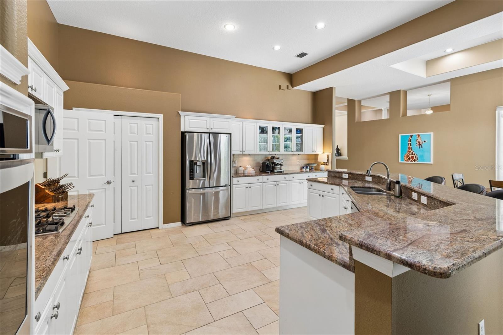 19108 CENTRE ROSE BLVD, LUTZ, FL, 33558