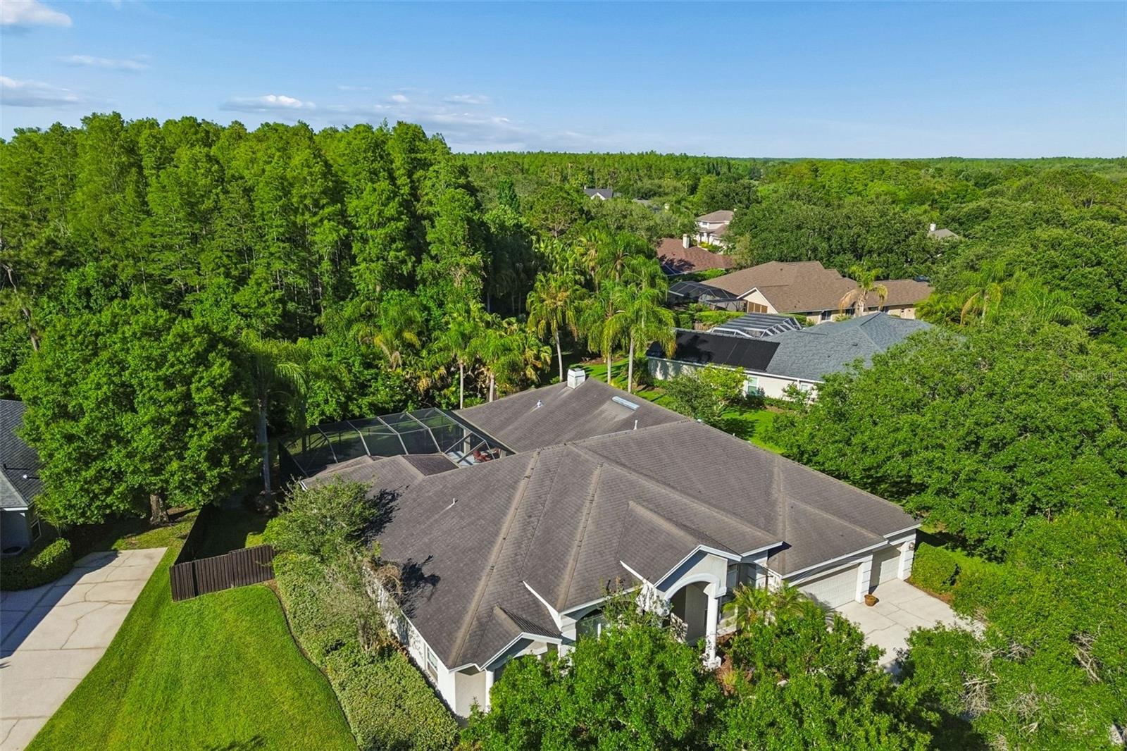 19108 CENTRE ROSE BLVD, LUTZ, FL, 33558