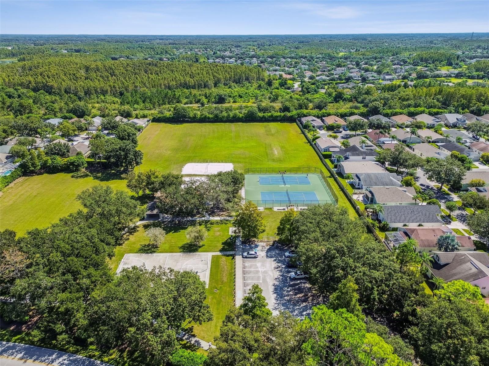 19108 CENTRE ROSE BLVD, LUTZ, FL, 33558