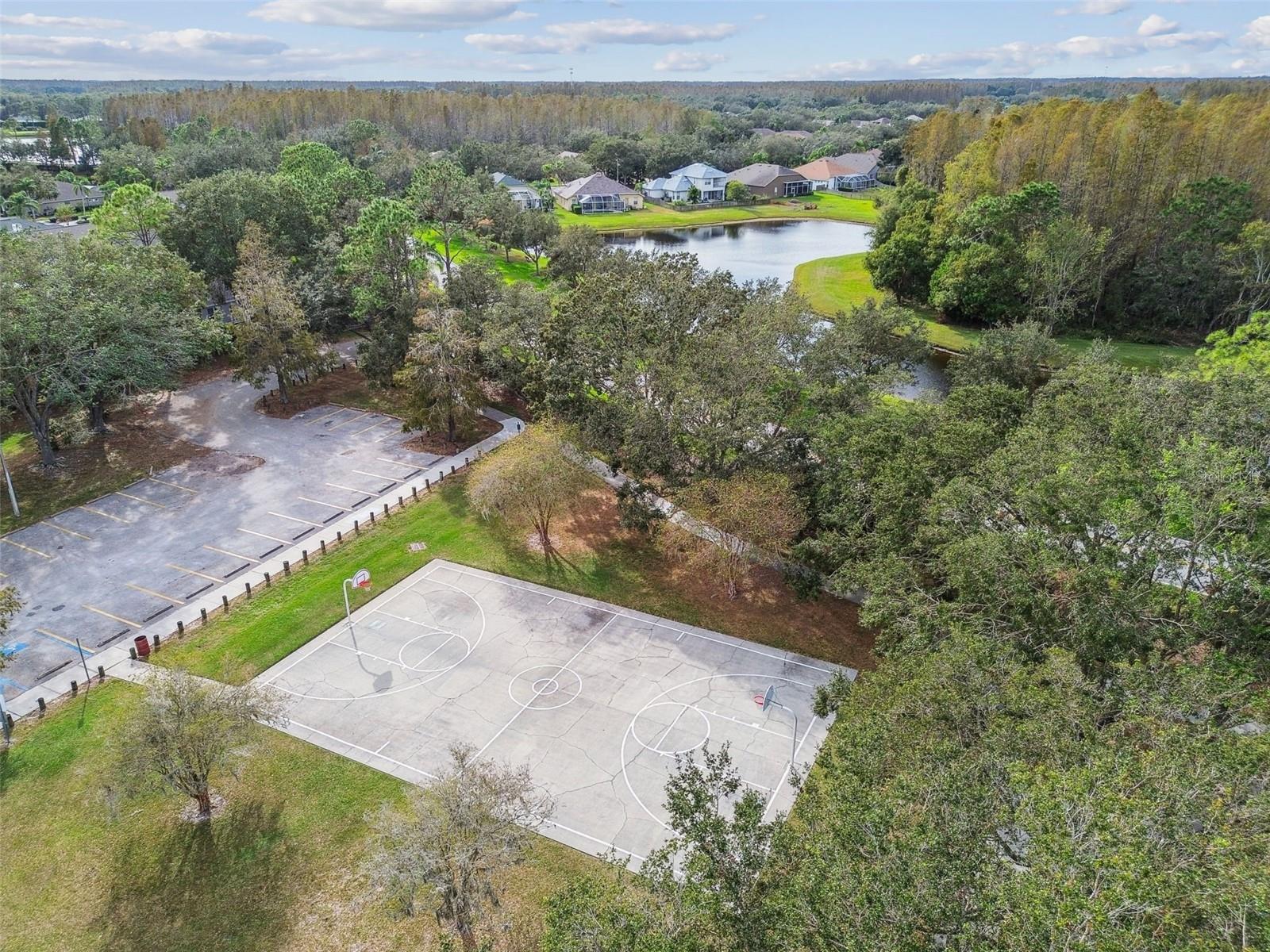 19108 CENTRE ROSE BLVD, LUTZ, FL, 33558
