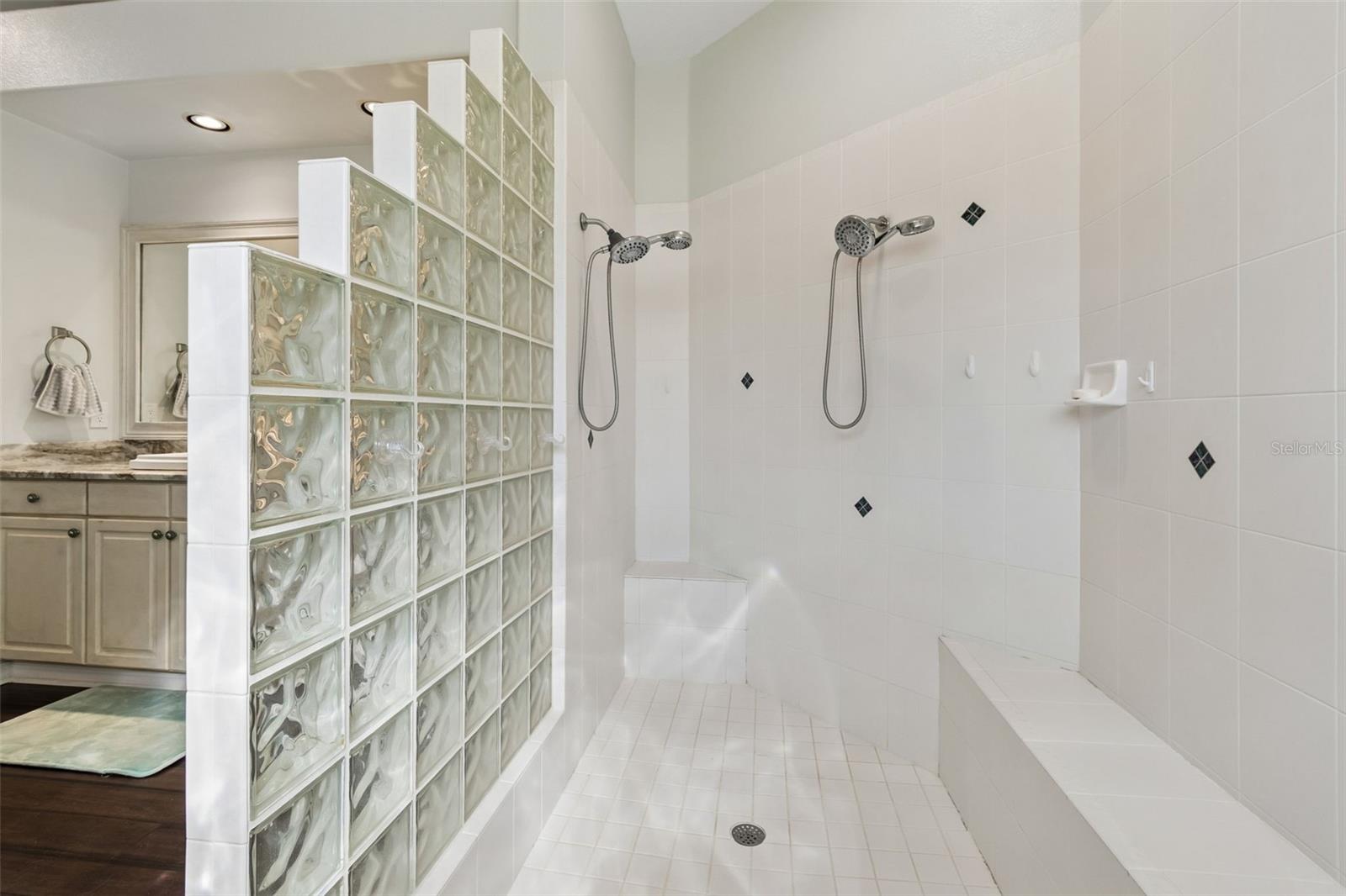 19108 CENTRE ROSE BLVD, LUTZ, FL, 33558