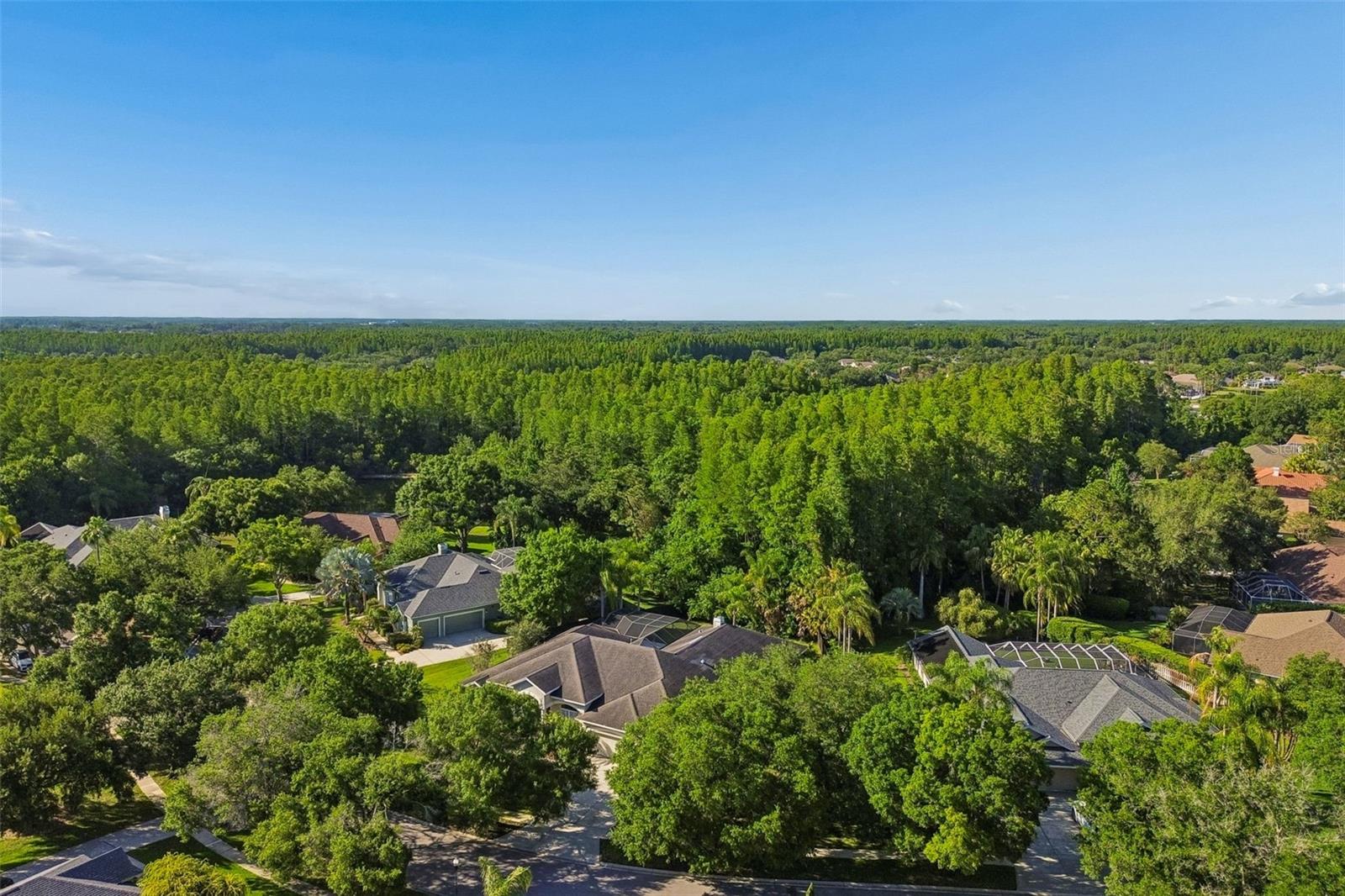 19108 CENTRE ROSE BLVD, LUTZ, FL, 33558
