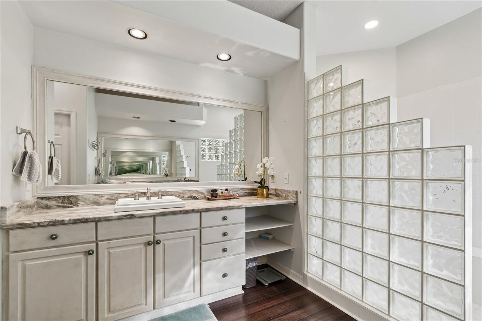 19108 CENTRE ROSE BLVD, LUTZ, FL, 33558
