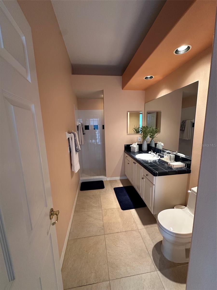 19108 CENTRE ROSE BLVD, LUTZ, FL, 33558
