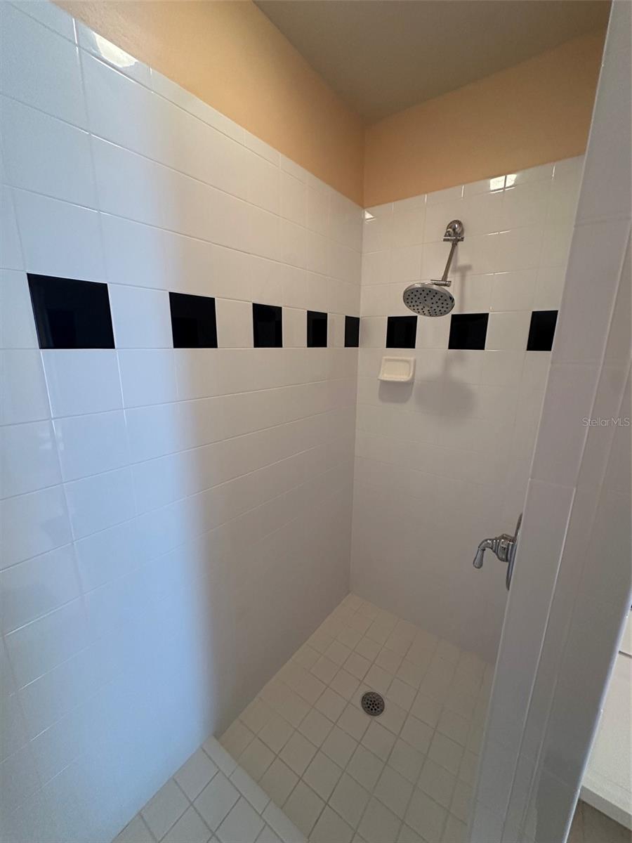 19108 CENTRE ROSE BLVD, LUTZ, FL, 33558