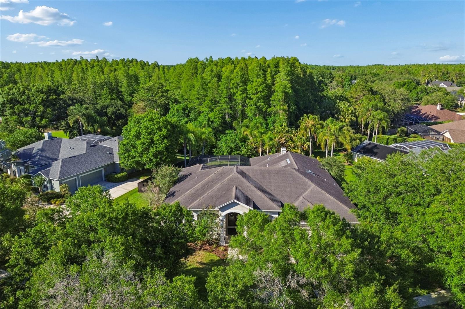 19108 CENTRE ROSE BLVD, LUTZ, FL, 33558