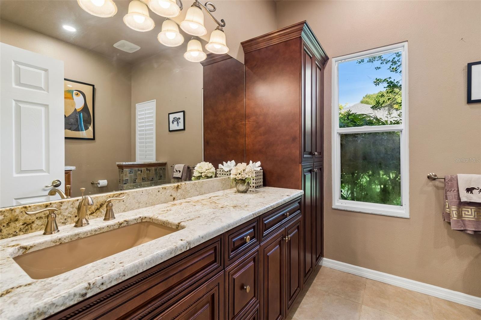 19108 CENTRE ROSE BLVD, LUTZ, FL, 33558
