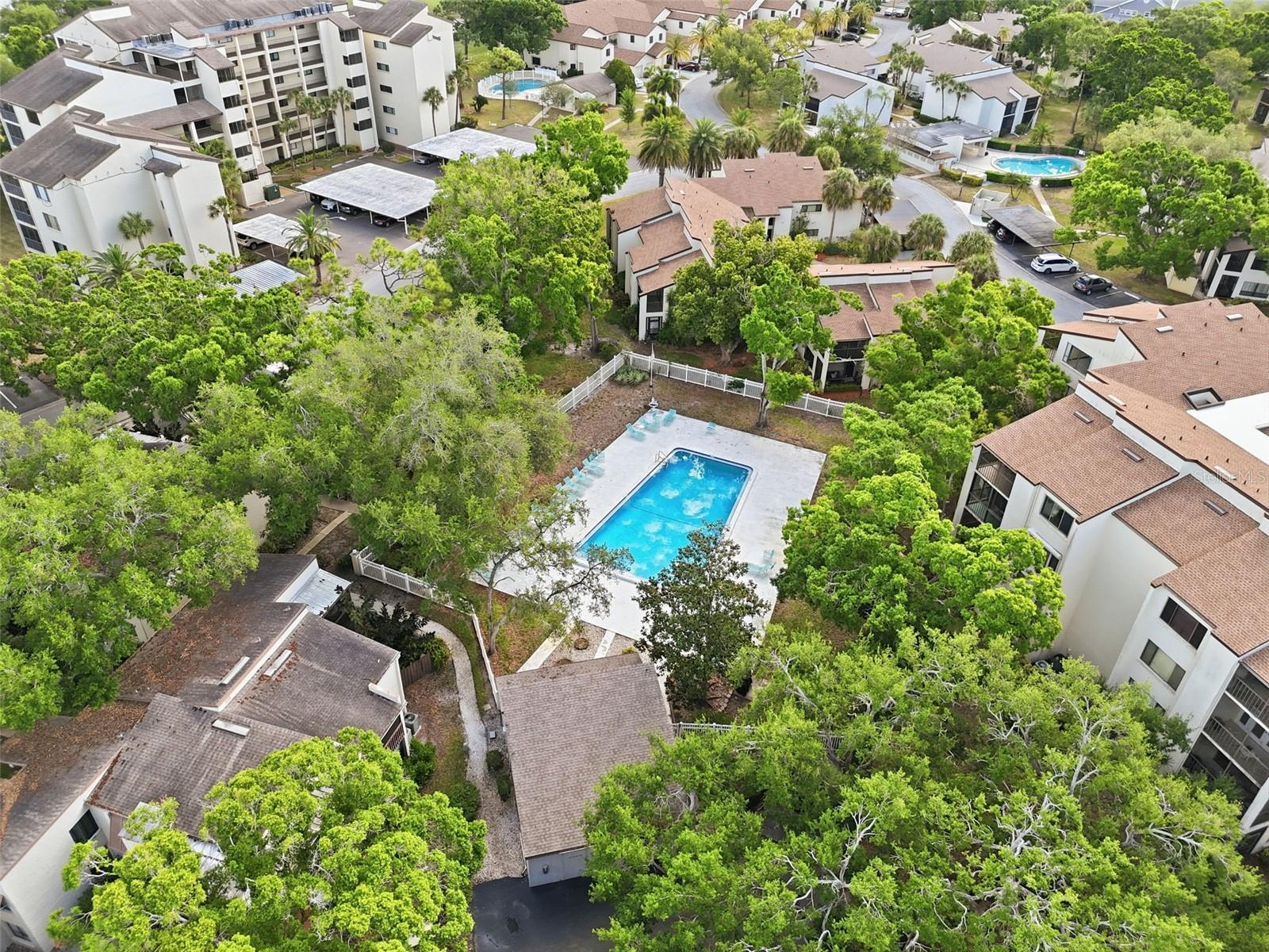 700 STARKEY RD #622, LARGO, FL, 33771